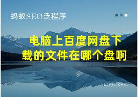 电脑上百度网盘下载的文件在哪个盘啊