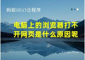 电脑上的浏览器打不开网页是什么原因呢