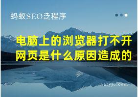 电脑上的浏览器打不开网页是什么原因造成的