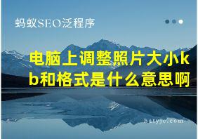 电脑上调整照片大小kb和格式是什么意思啊