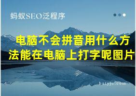 电脑不会拼音用什么方法能在电脑上打字呢图片