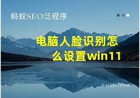 电脑人脸识别怎么设置win11