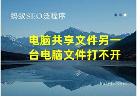 电脑共享文件另一台电脑文件打不开