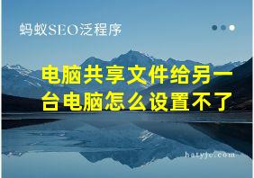 电脑共享文件给另一台电脑怎么设置不了