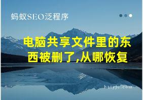 电脑共享文件里的东西被删了,从哪恢复