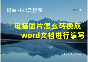 电脑图片怎么转换成word文档进行编写