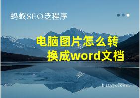 电脑图片怎么转换成word文档