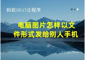 电脑图片怎样以文件形式发给别人手机