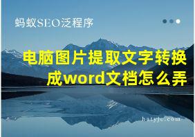 电脑图片提取文字转换成word文档怎么弄