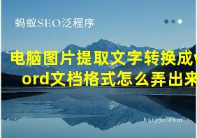 电脑图片提取文字转换成word文档格式怎么弄出来