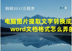 电脑图片提取文字转换成word文档格式怎么弄的