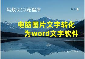 电脑图片文字转化为word文字软件