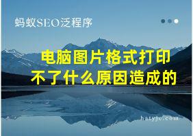 电脑图片格式打印不了什么原因造成的