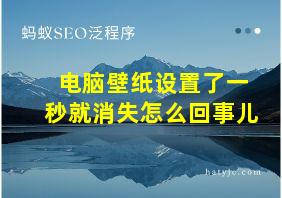 电脑壁纸设置了一秒就消失怎么回事儿