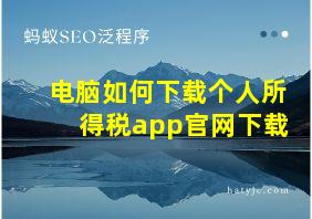 电脑如何下载个人所得税app官网下载