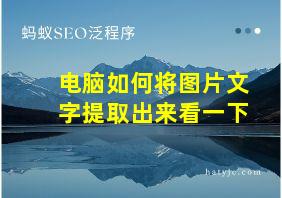 电脑如何将图片文字提取出来看一下