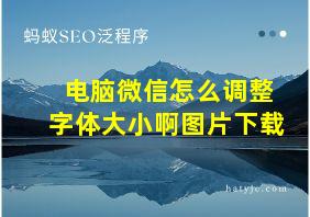 电脑微信怎么调整字体大小啊图片下载