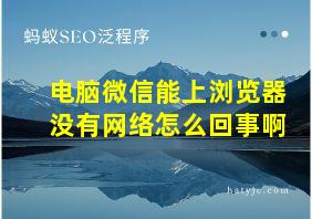 电脑微信能上浏览器没有网络怎么回事啊