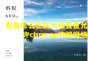 电脑怎么在防火墙设置允许chrome访问网络