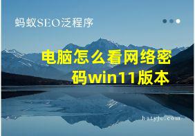 电脑怎么看网络密码win11版本