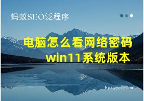 电脑怎么看网络密码win11系统版本