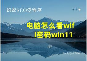 电脑怎么看wifi密码win11