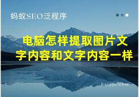 电脑怎样提取图片文字内容和文字内容一样