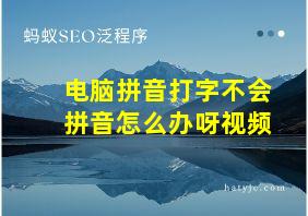 电脑拼音打字不会拼音怎么办呀视频