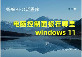 电脑控制面板在哪里windows 11