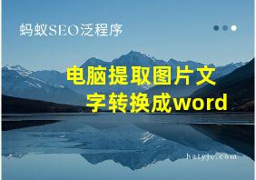 电脑提取图片文字转换成word