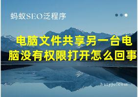 电脑文件共享另一台电脑没有权限打开怎么回事