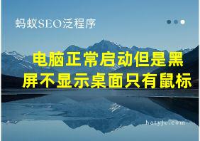 电脑正常启动但是黑屏不显示桌面只有鼠标