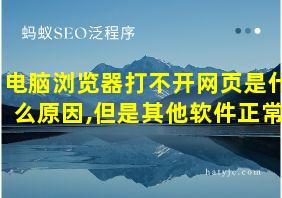 电脑浏览器打不开网页是什么原因,但是其他软件正常