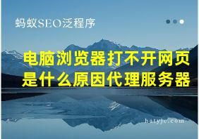 电脑浏览器打不开网页是什么原因代理服务器