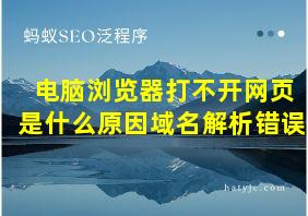 电脑浏览器打不开网页是什么原因域名解析错误