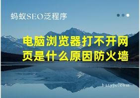 电脑浏览器打不开网页是什么原因防火墙