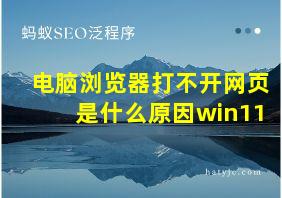 电脑浏览器打不开网页是什么原因win11