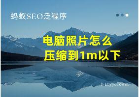 电脑照片怎么压缩到1m以下