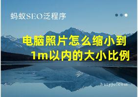 电脑照片怎么缩小到1m以内的大小比例