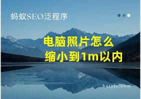 电脑照片怎么缩小到1m以内