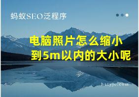 电脑照片怎么缩小到5m以内的大小呢