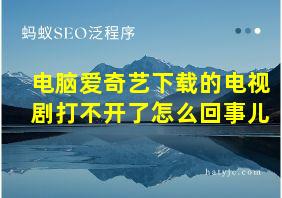 电脑爱奇艺下载的电视剧打不开了怎么回事儿