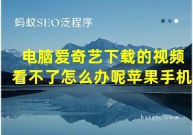 电脑爱奇艺下载的视频看不了怎么办呢苹果手机