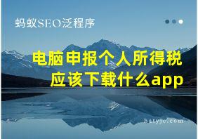 电脑申报个人所得税应该下载什么app