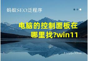 电脑的控制面板在哪里找?win11