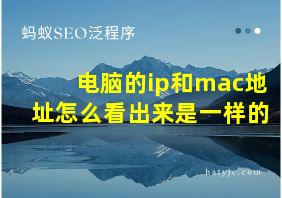 电脑的ip和mac地址怎么看出来是一样的