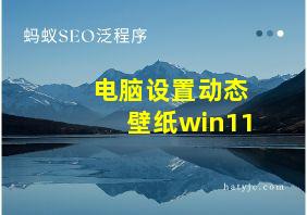 电脑设置动态壁纸win11