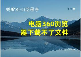 电脑360浏览器下载不了文件