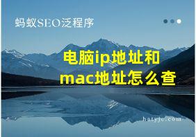 电脑ip地址和mac地址怎么查