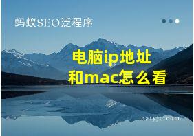 电脑ip地址和mac怎么看